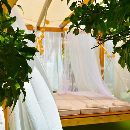 Converted Shed Studio & Garden Hanging Bed Pórto Ráfti Dış mekan fotoğraf